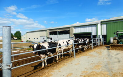 Agriculture et ergonomie